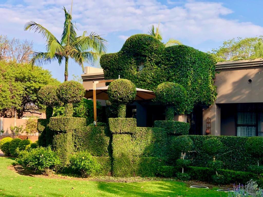 Forty 4 On Hoog Polokwane Exterior foto